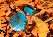 استفاده از عینک آفتابی در پاییز